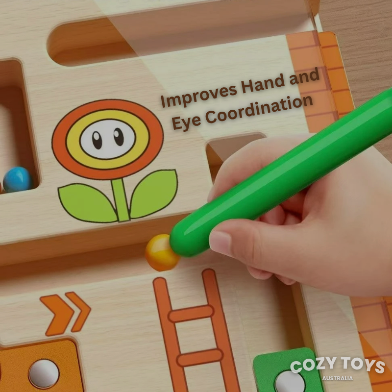 Mario Montessori Magnetic Maze