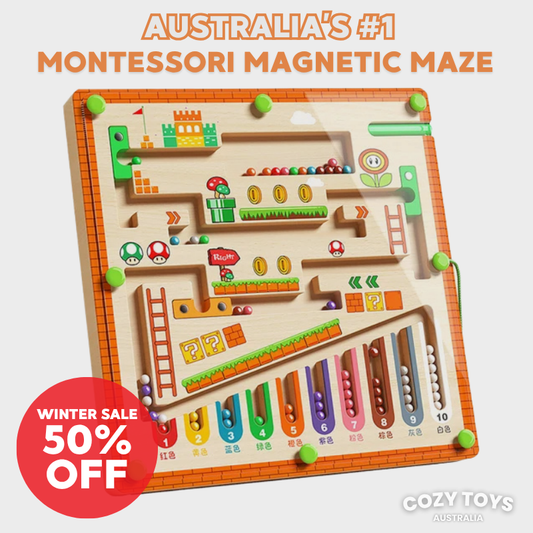 Mario Montessori Magnetic Maze